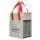 Ares Recycled Non-Woven 12 Can Cooler 110
