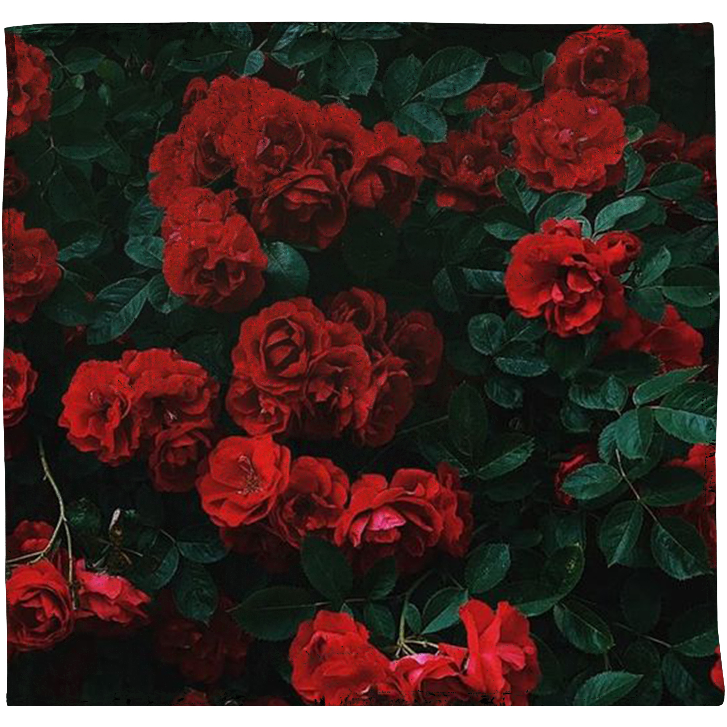 50" x 60" Plush Silk Touch Sublimation Blanket 300 GSM 9