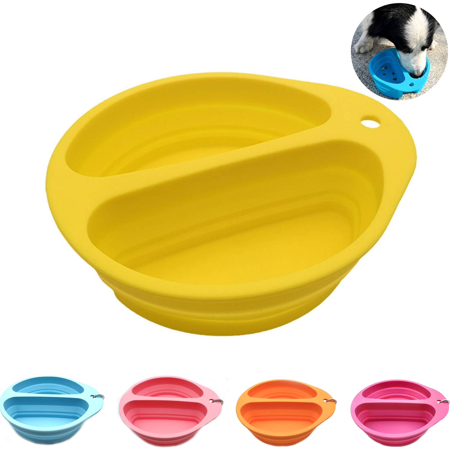 Collapsible Pet Bowl 5