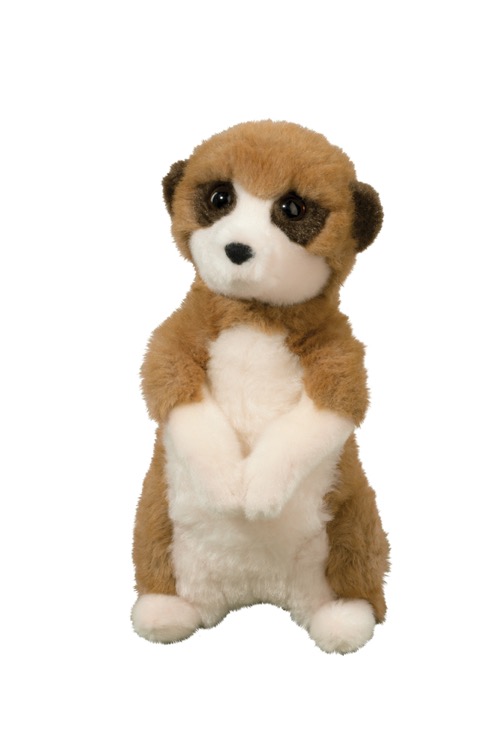 Enzo Meerkat 2