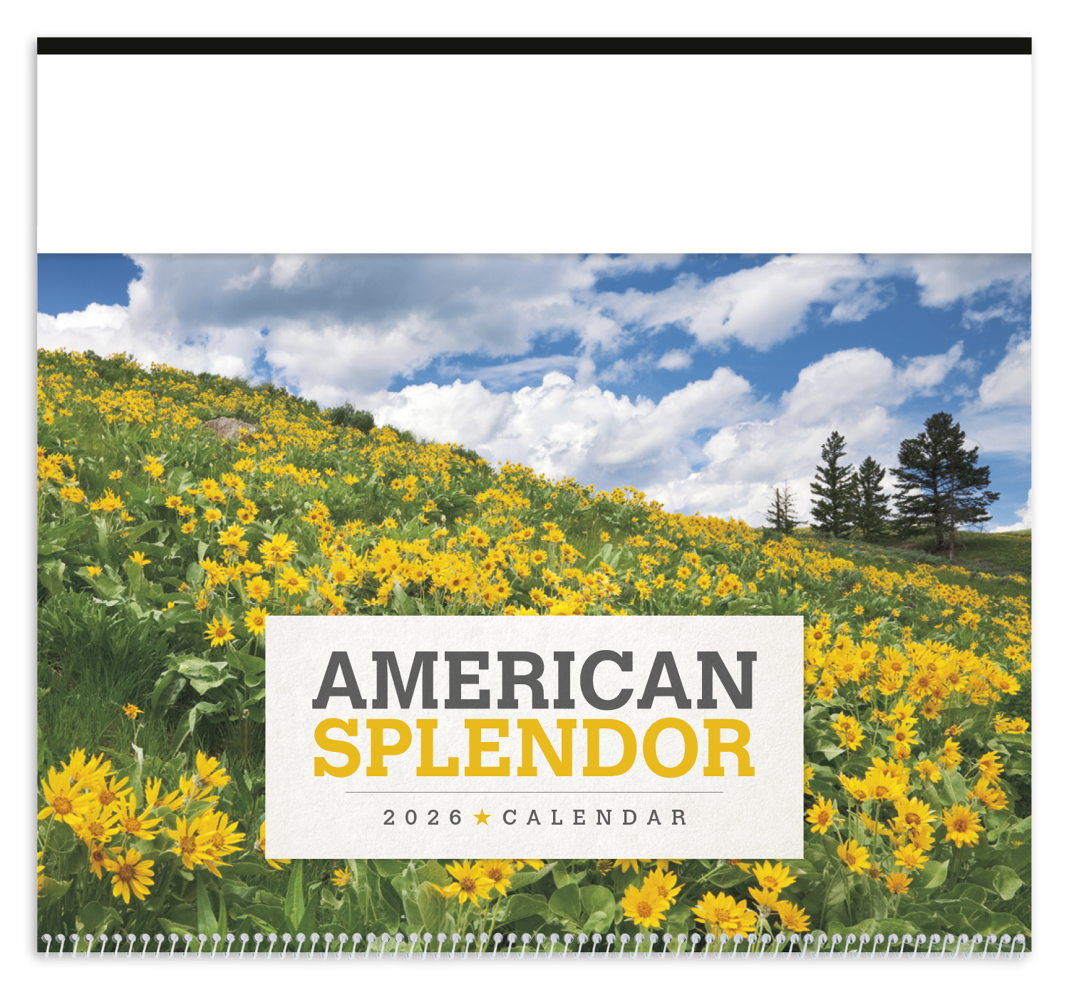 Triumph® Calendars American Splendor Calendar 11