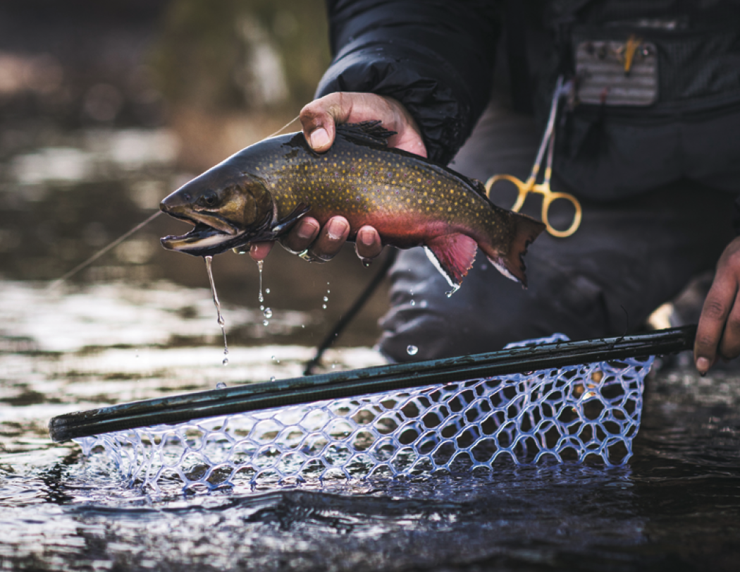 Good Value™ Fishing - Spiral Calendar 54