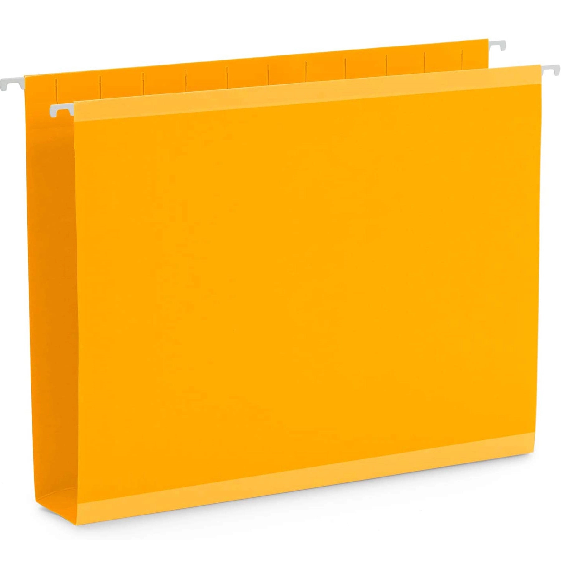 Letter-Size Hanging  File  Folder 1