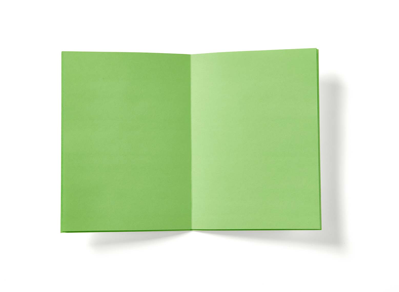 Neon Hex Journal 11