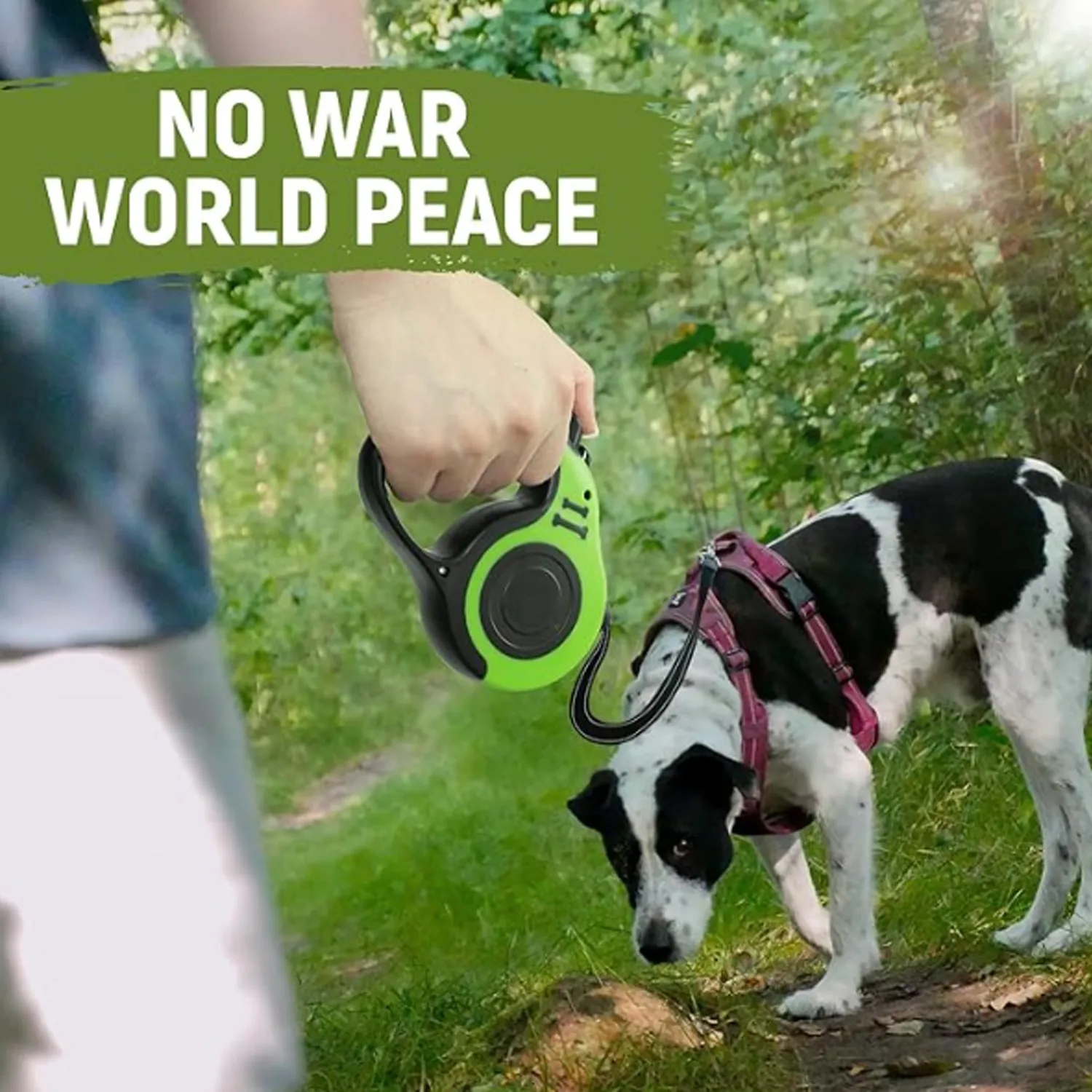 Small and medium-sized dog pet leash 2
