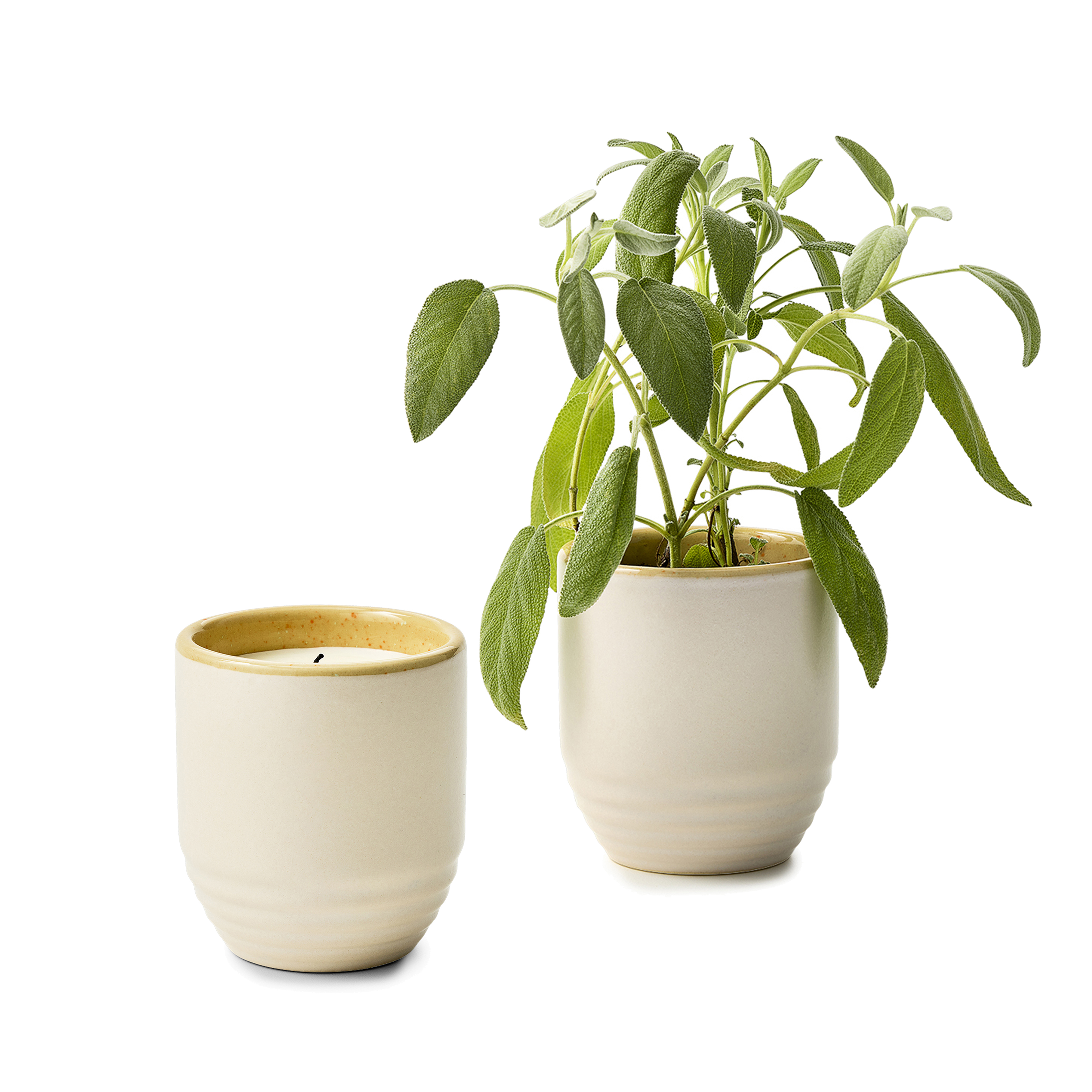 Modern Sprout® Garden Vibes Candle/Planter