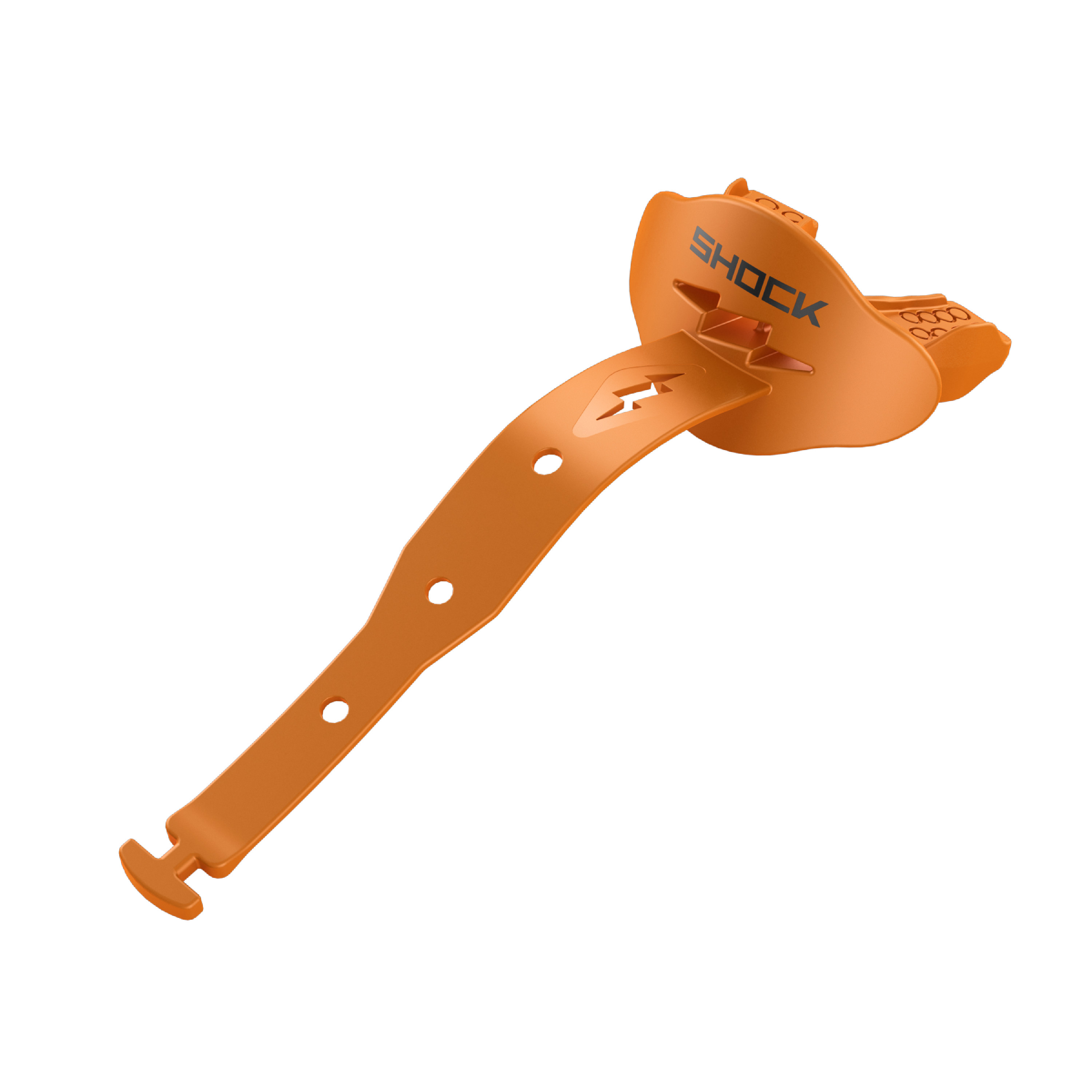Bolt Lipguard (Team Only) 3
