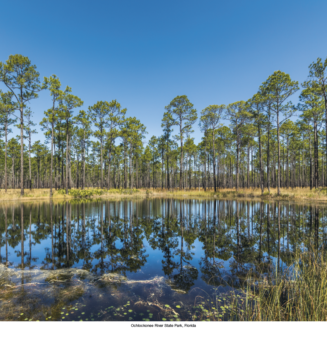 HotLine® Products Scenic America® Executive 19