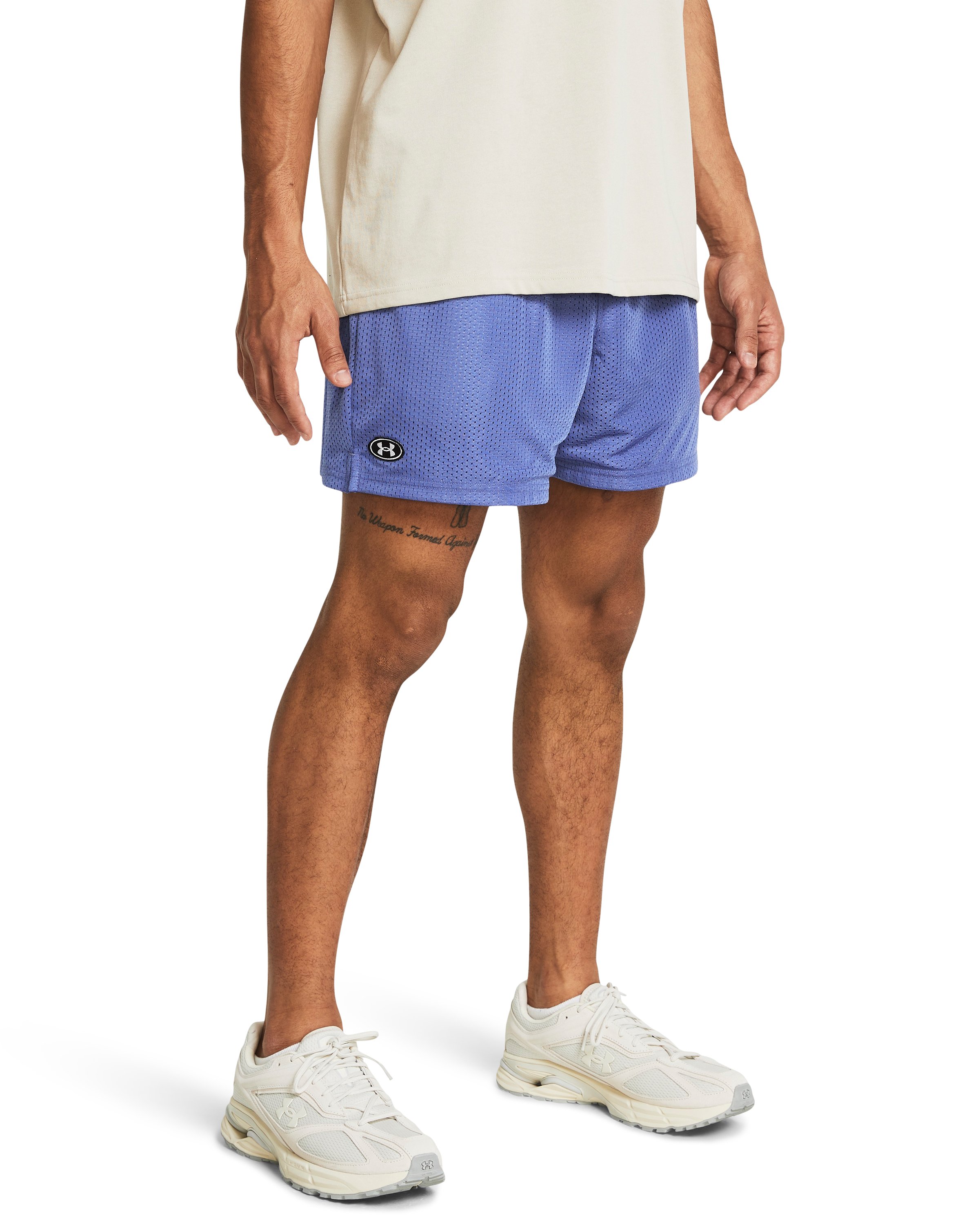 UA Icon Mesh Men's 5 Shorts 2