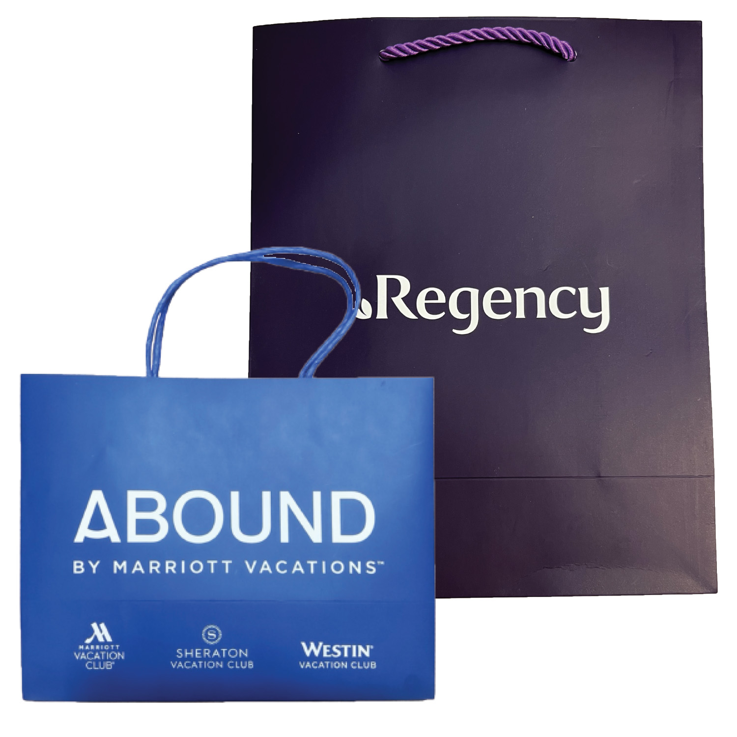 Custom Paper Return Bags 2