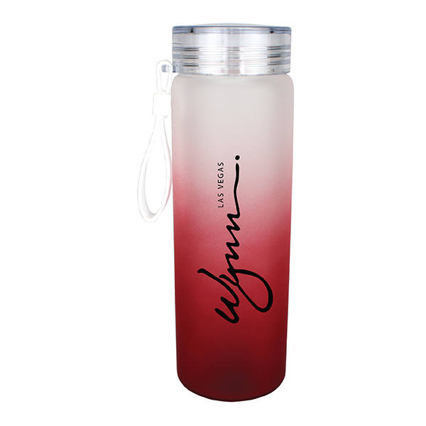 Halcyon® 20 oz. Frosted Glass Bottle with Screw on Lid 21