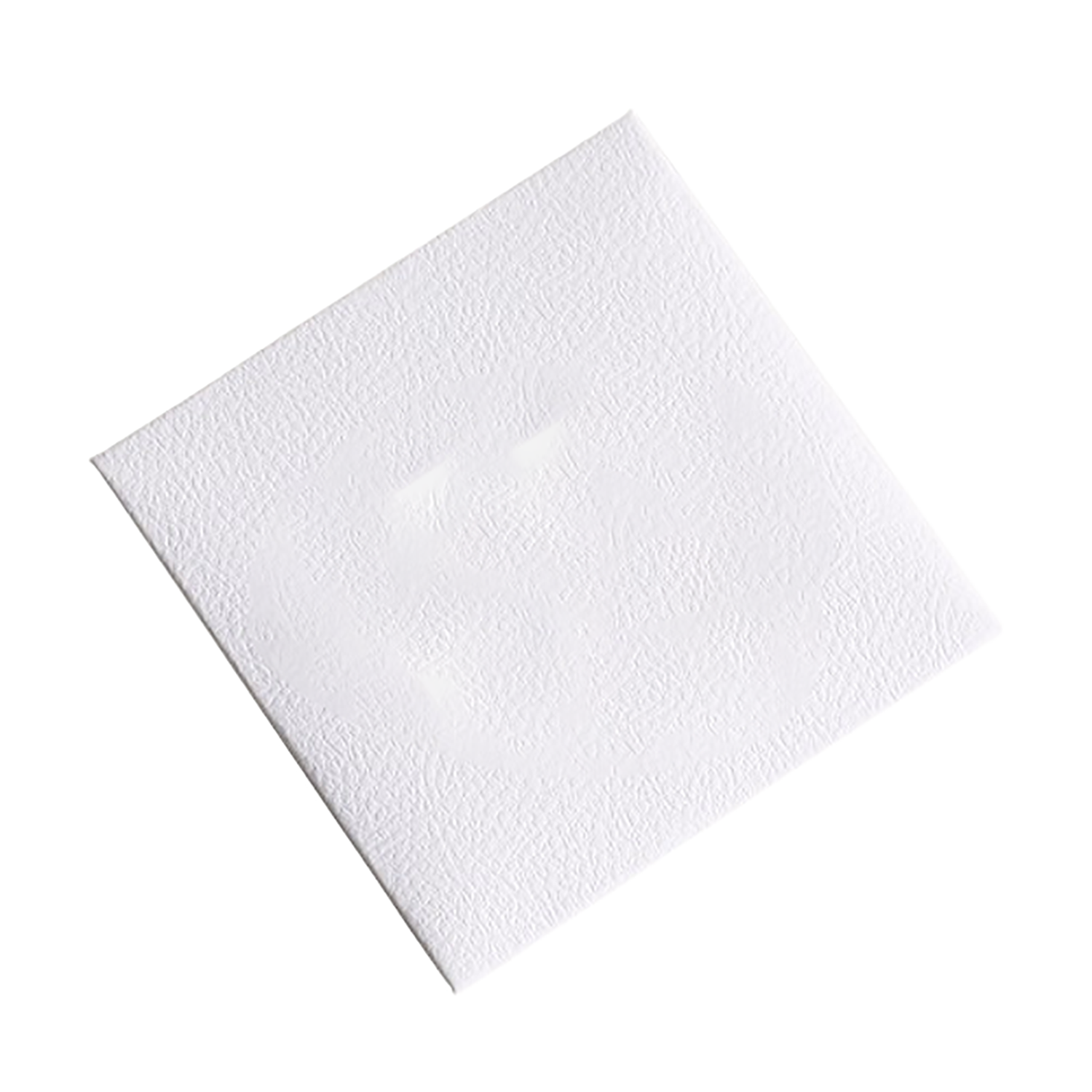 Jewelry Cleaning Microfber Cloth Polishing w/ Paper Bag 6