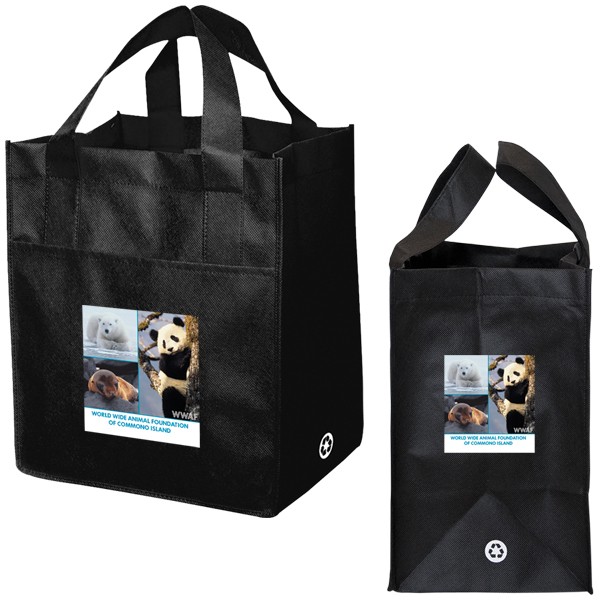 Non Woven Carry All Bag 7