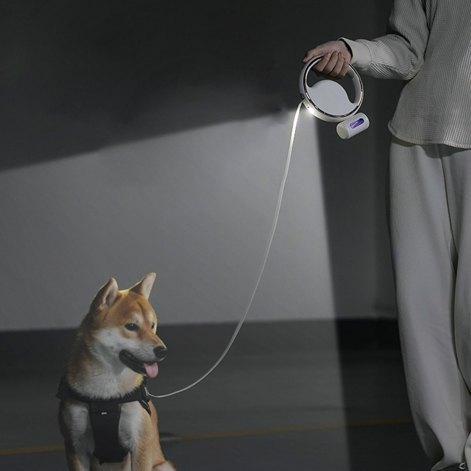 Led Luminous Telescopic Leash 4