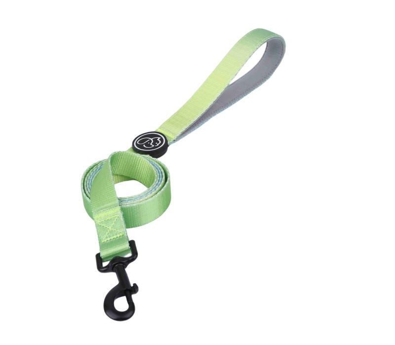 Pet Leash with Padded Neoprene Handle-Small 4