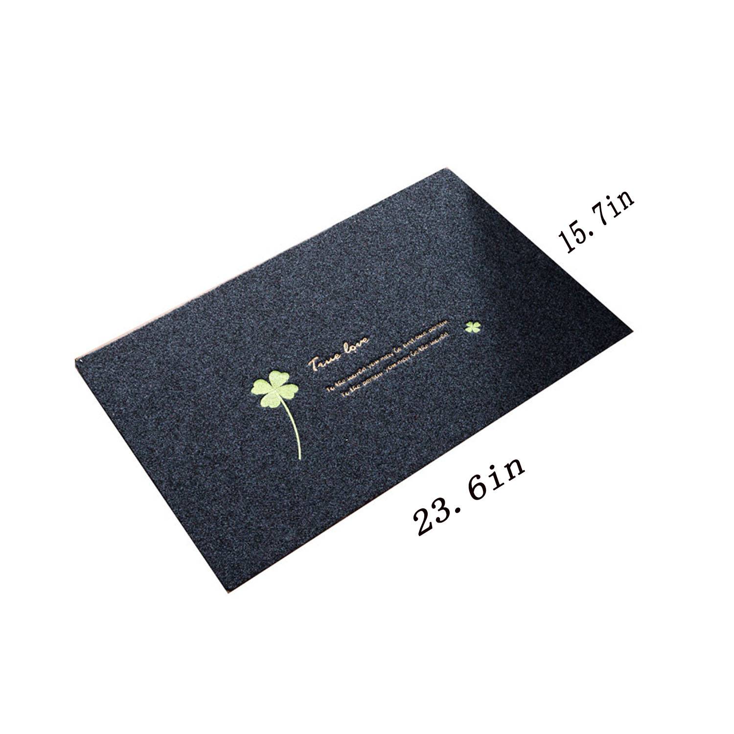 Small Interior Floor Mat 2