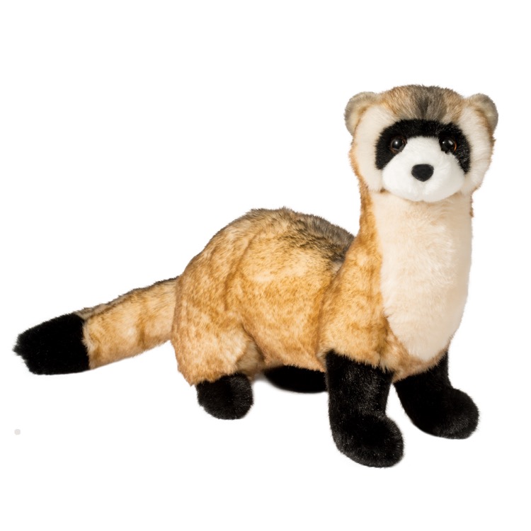 Vince Black-Footed Ferret Stuffed Animal 2