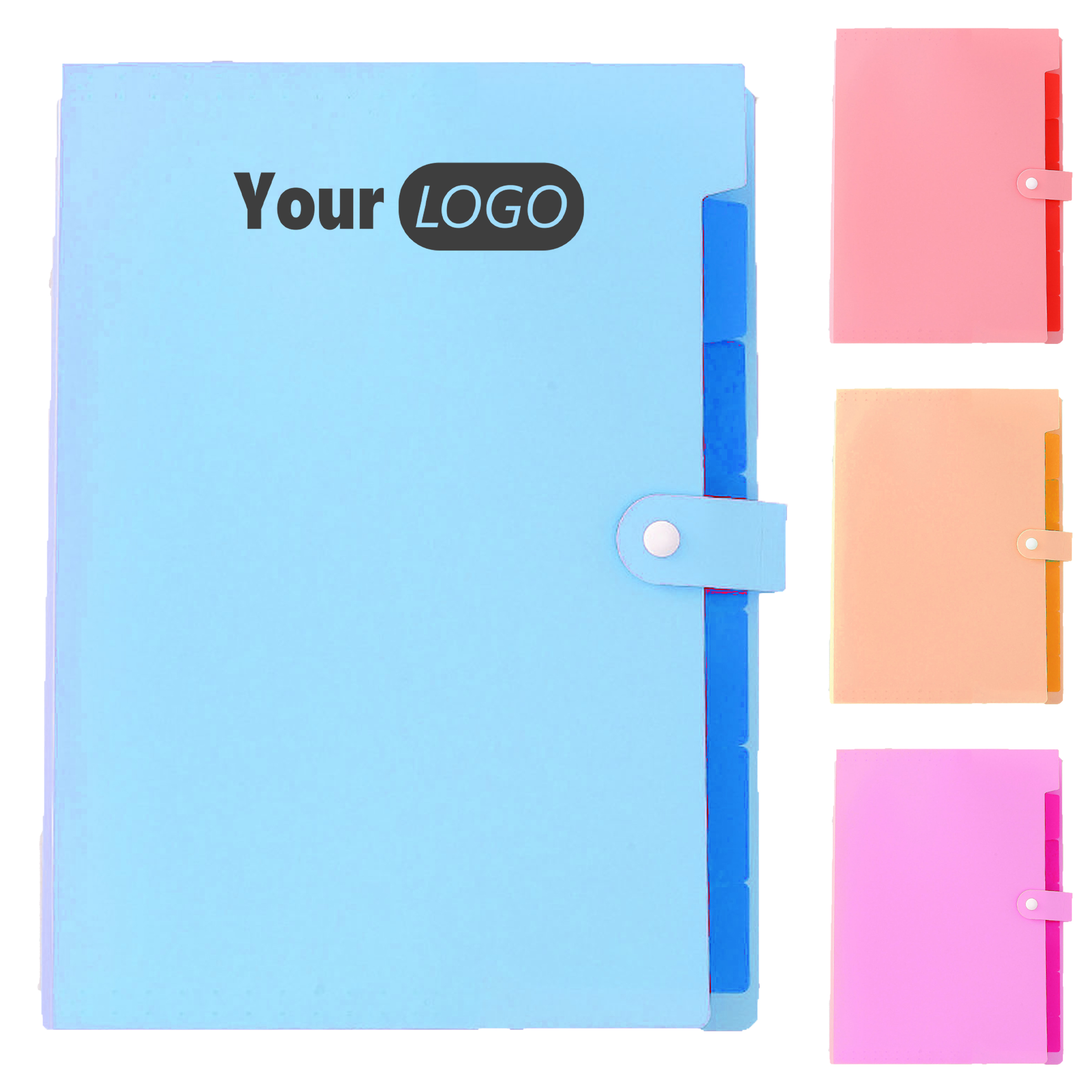 Plastic Colorful Expanding Document Organizer For Home And Office 1