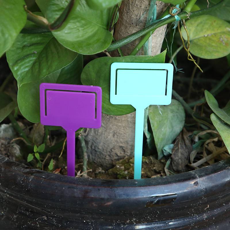 Plastic Sign Board 5