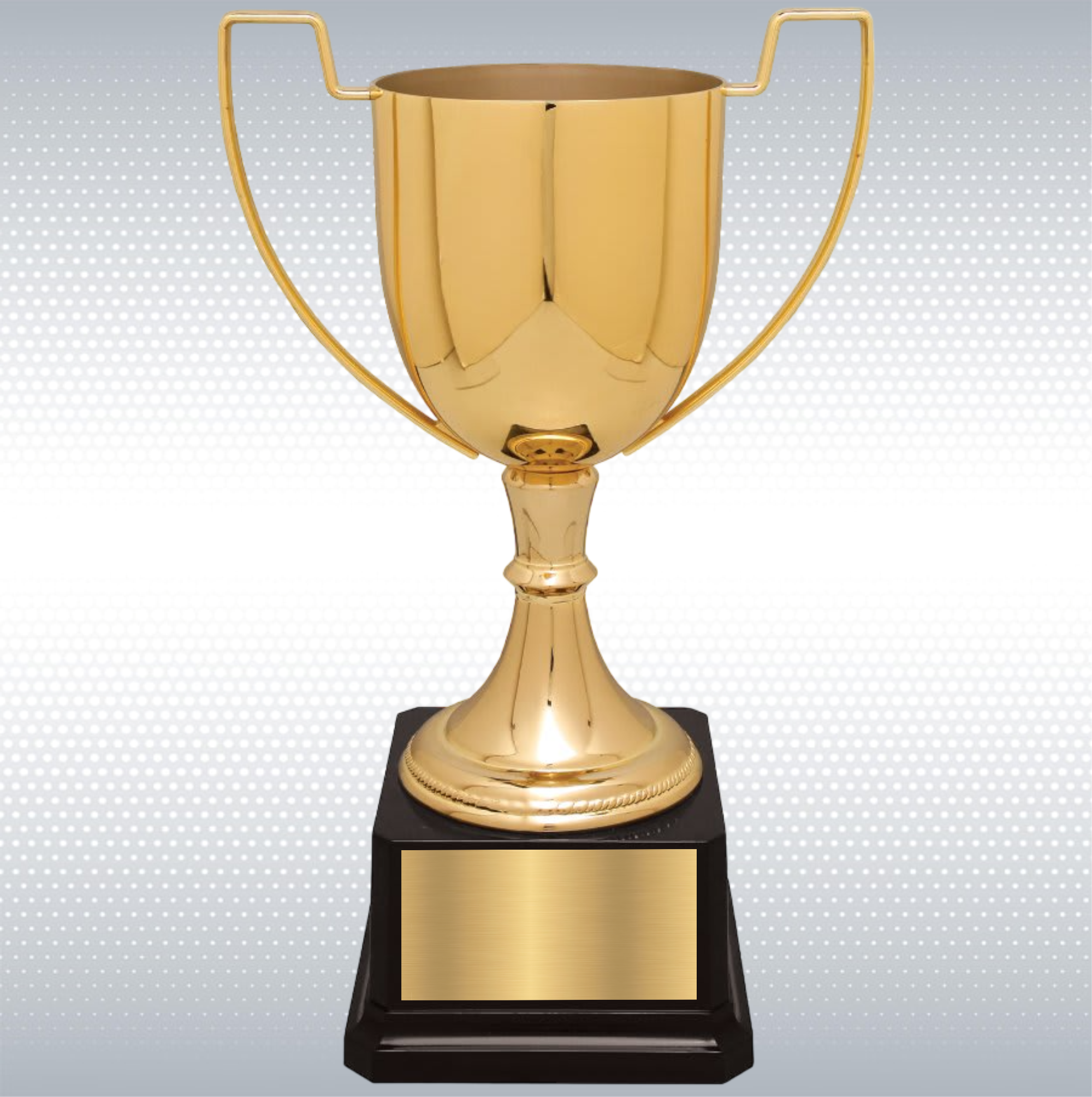 10 1/2" Completed Zinc Cup Trophy on Plastic Base 5