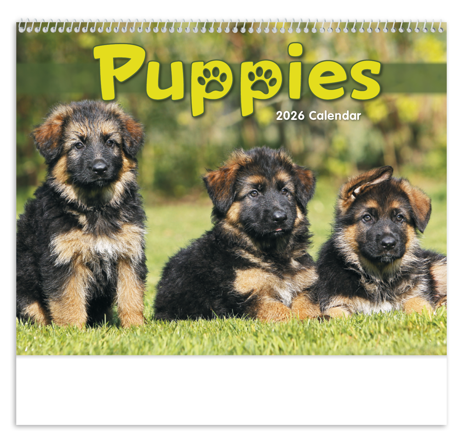 Triumph® Calendars Puppies Calendar 10