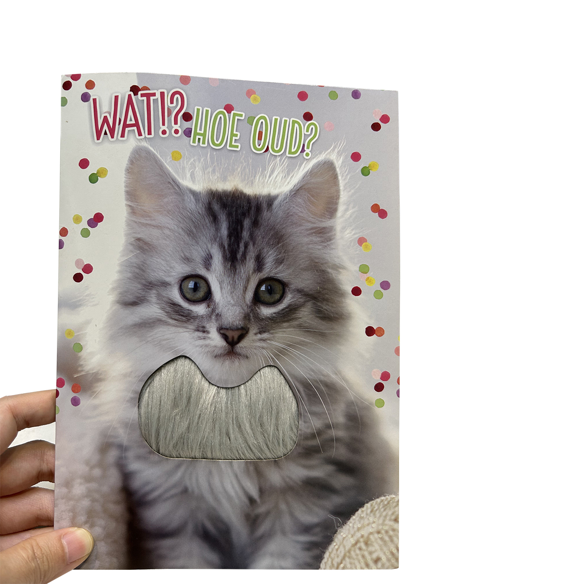 AudioPop Touch Activation Custom Interactive Audio Greeting Card & Direct Mailer - Full Color 2