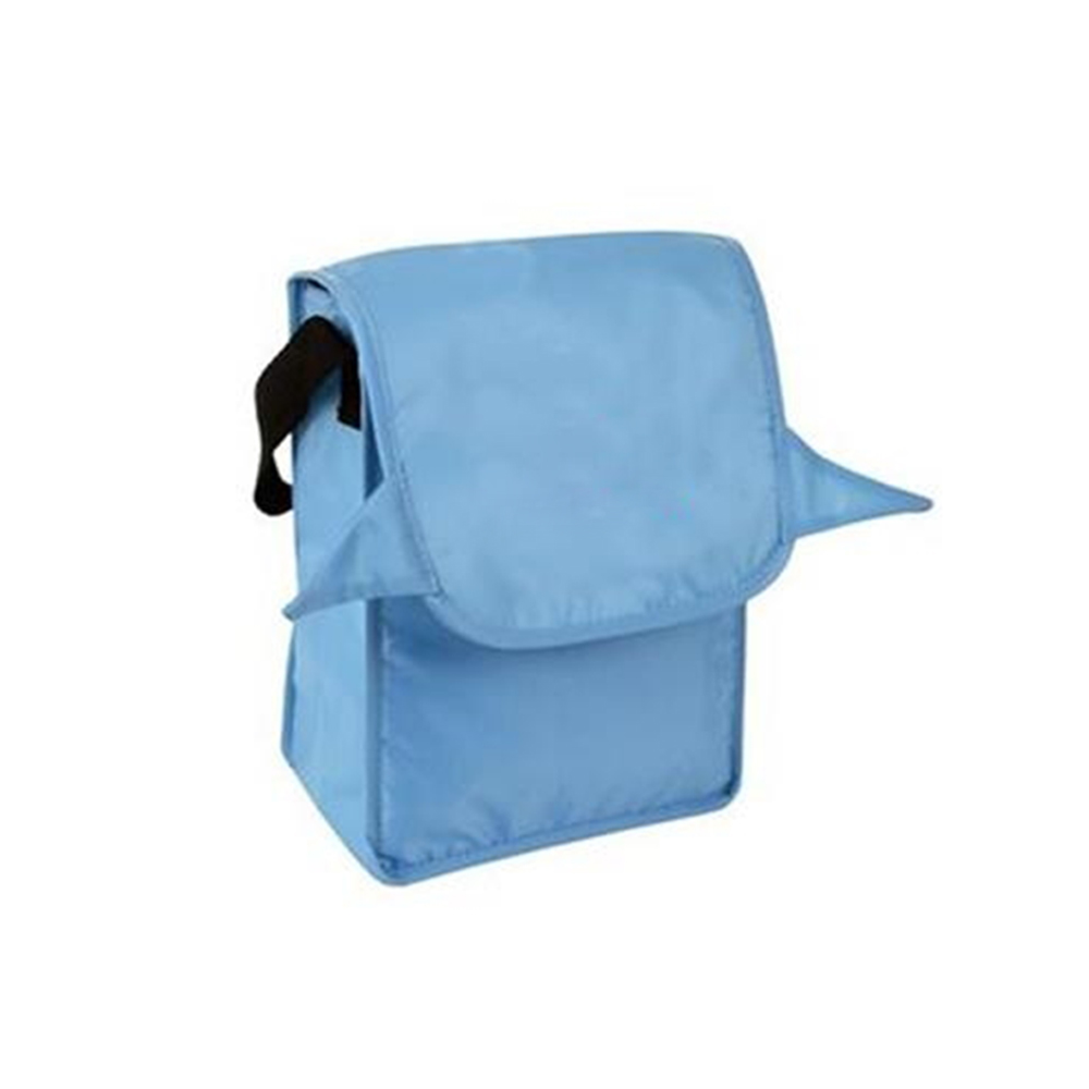 Lunch Tote Bag