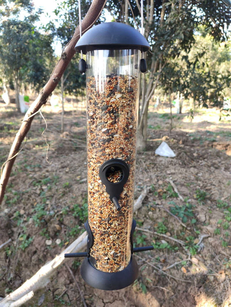 Birds Tube Feeders 2