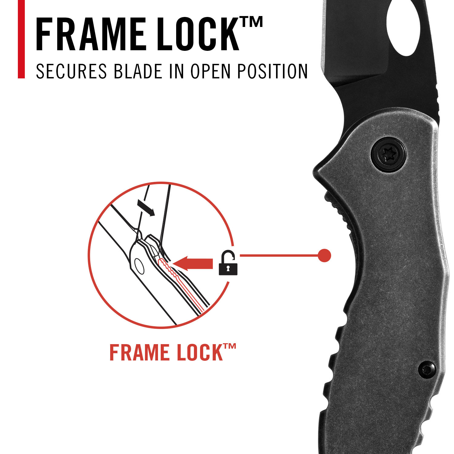 Coast® FX530 EDC Pocket Knife 14