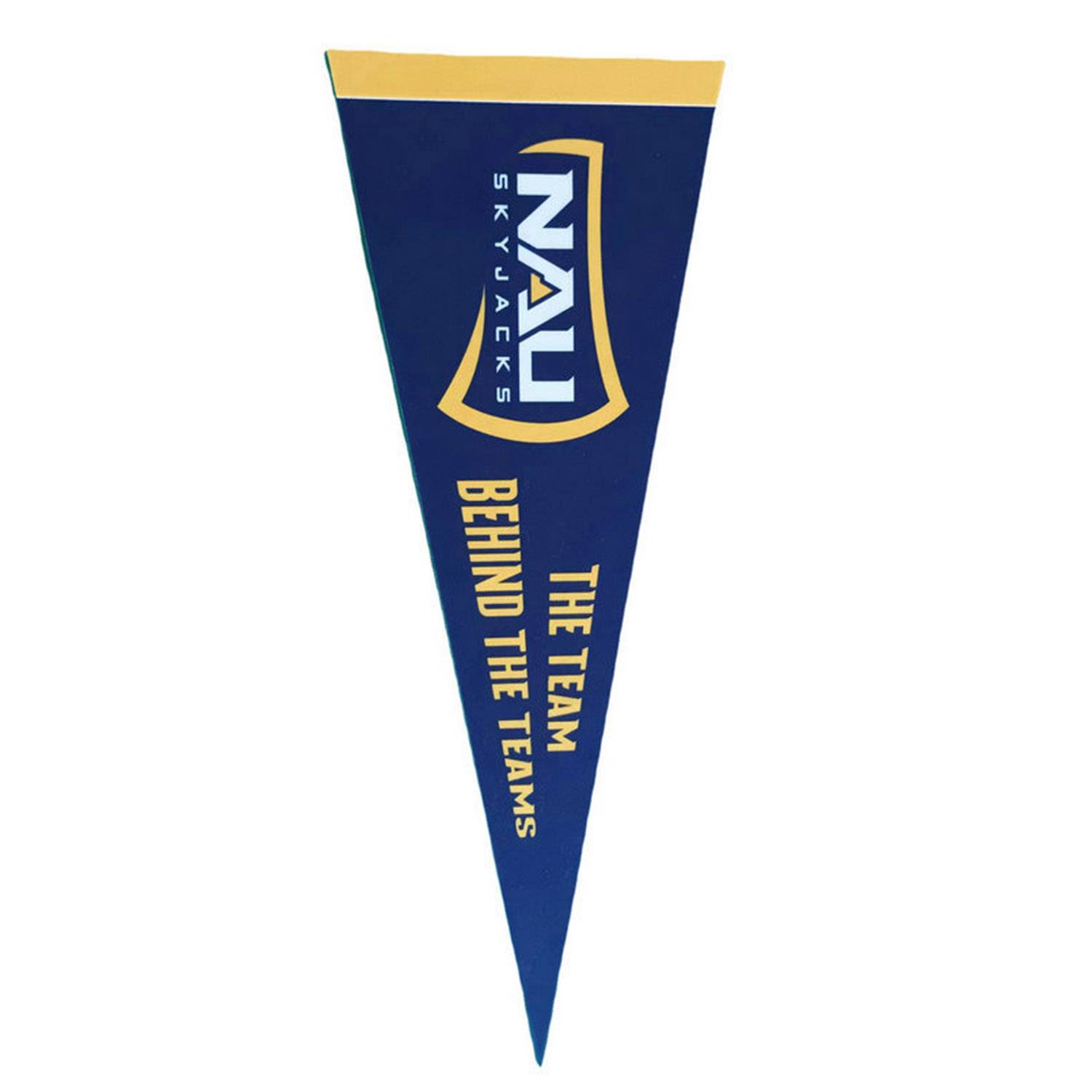 9" x 24" Colored Felt Pennant 9