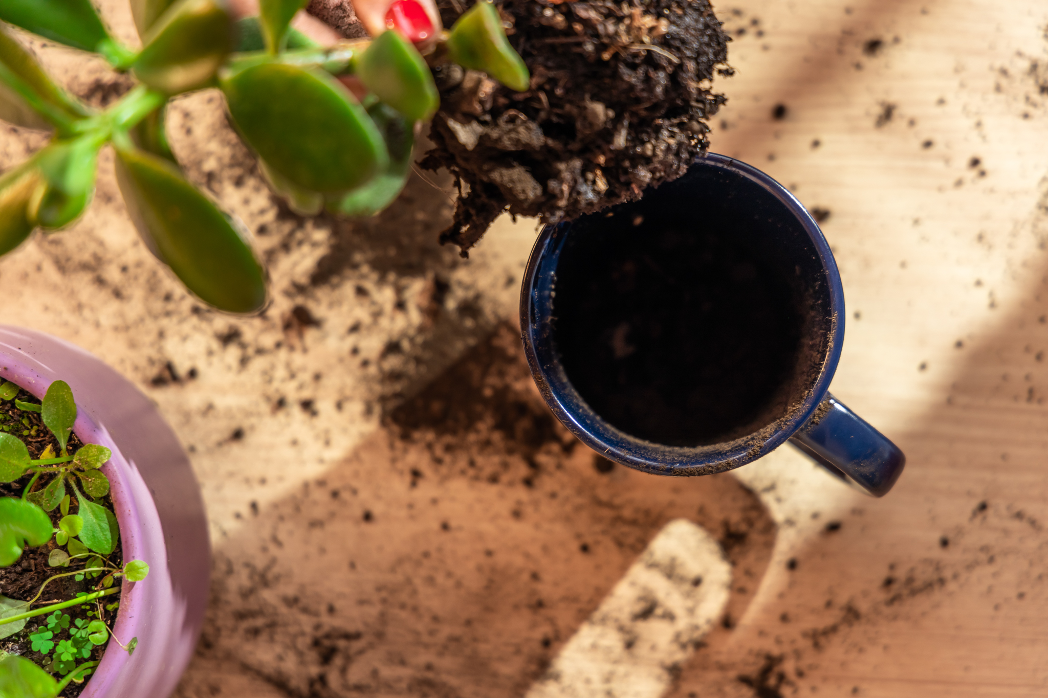 16 oz Planter Mug 26
