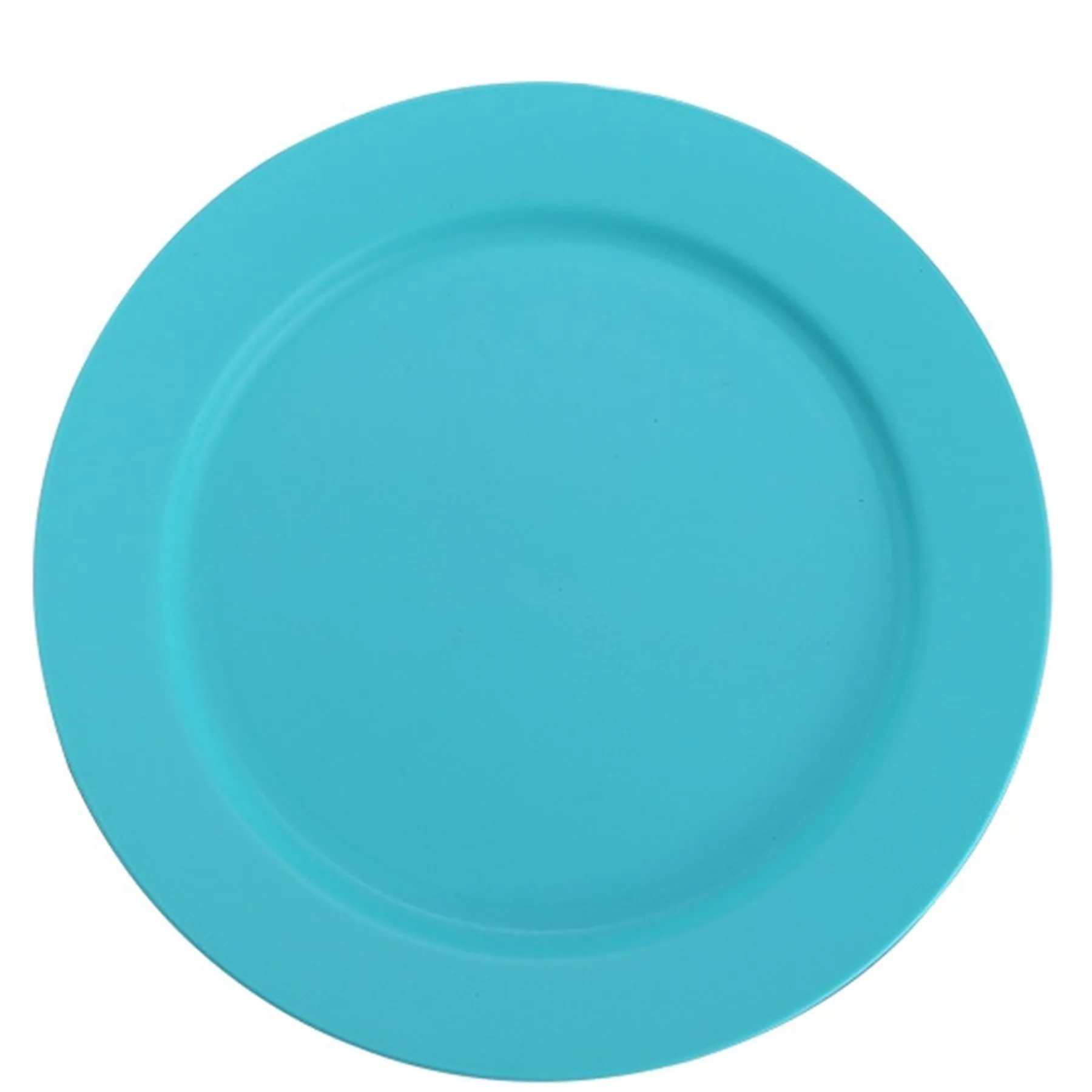 Plastic Plate 9.8 Inch 19