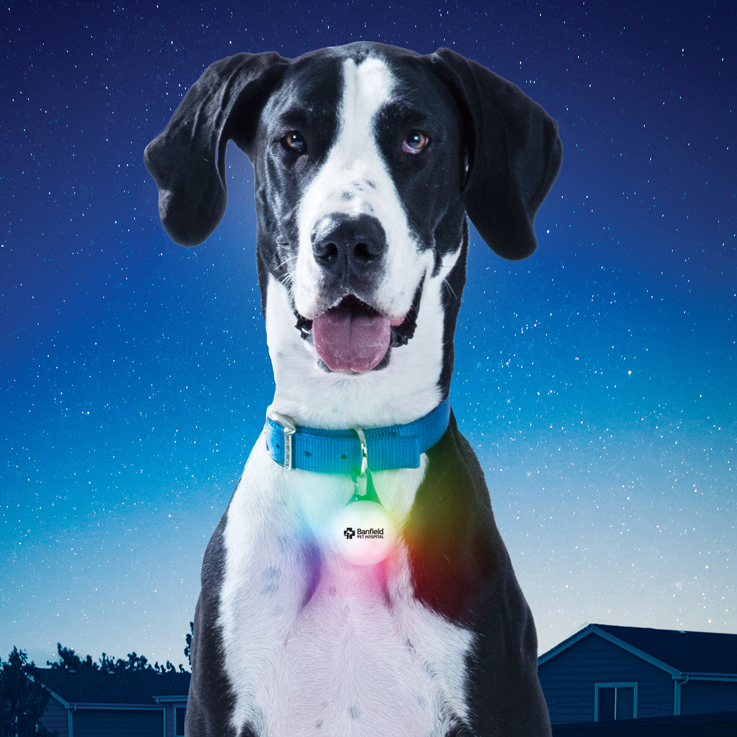 NITE IZE® SPOTLIT® XL RECHARGEABLE CARABINER LIGHT - DISC-O SELECT™ 2