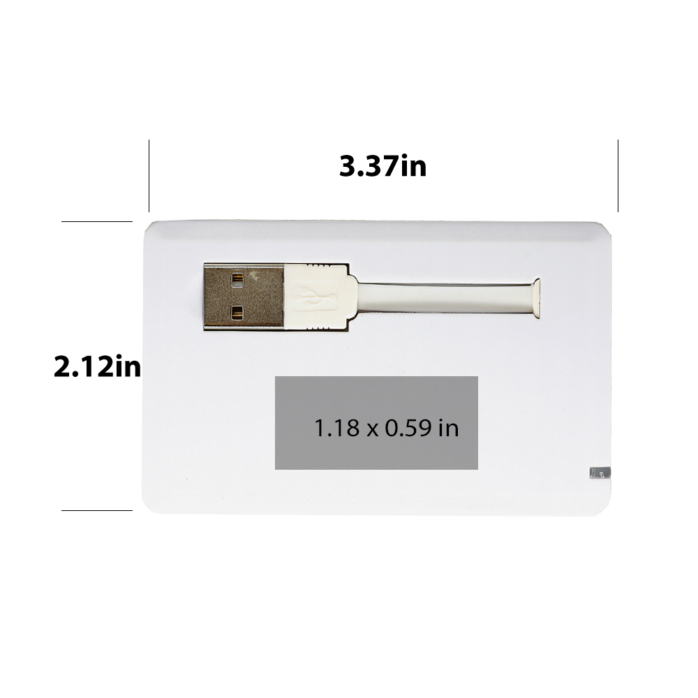 Shabbona Executive Pull Out USB Card