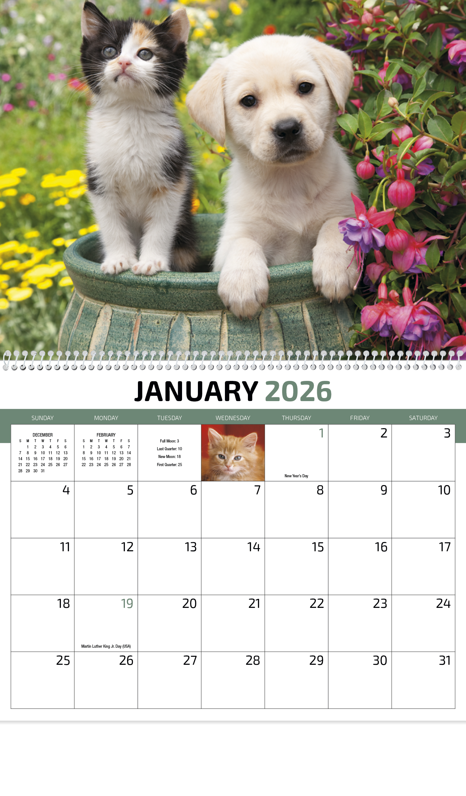 HotLine® Products Four Paws Appointment Calendar - Spiral 2