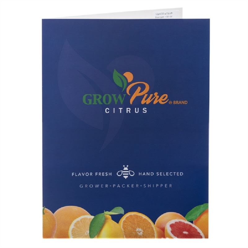 9 X 12 Inch Full Color Two-Pocket Presentation Folders 6