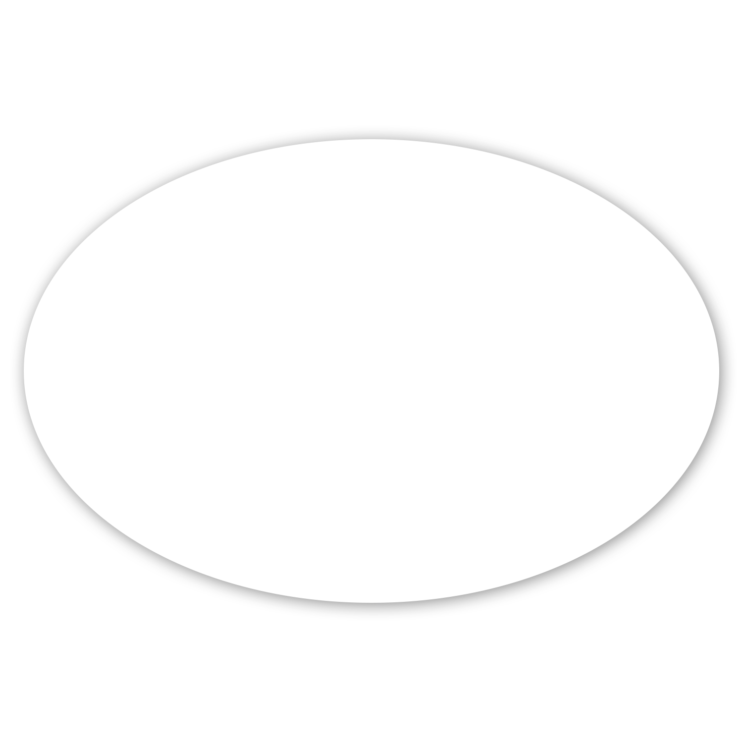 Car Sign Oval Magnet 6 x 4 1