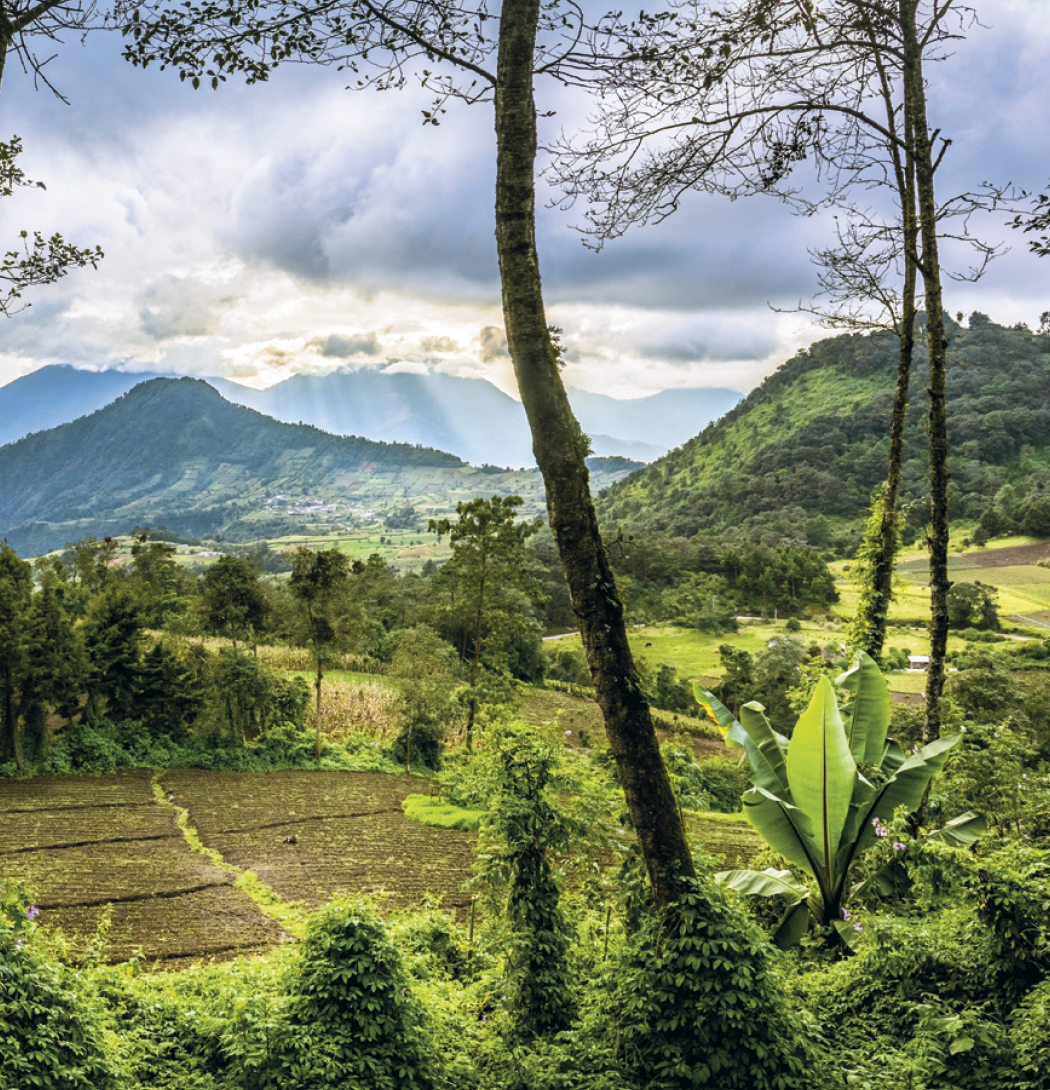 Triumph® Calendars World Scenic Calendar 28