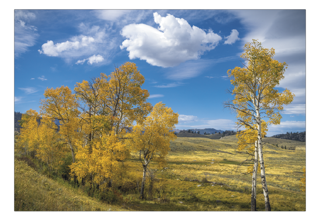 Triumph® Calendars American Splendor Pocket Calendar 50