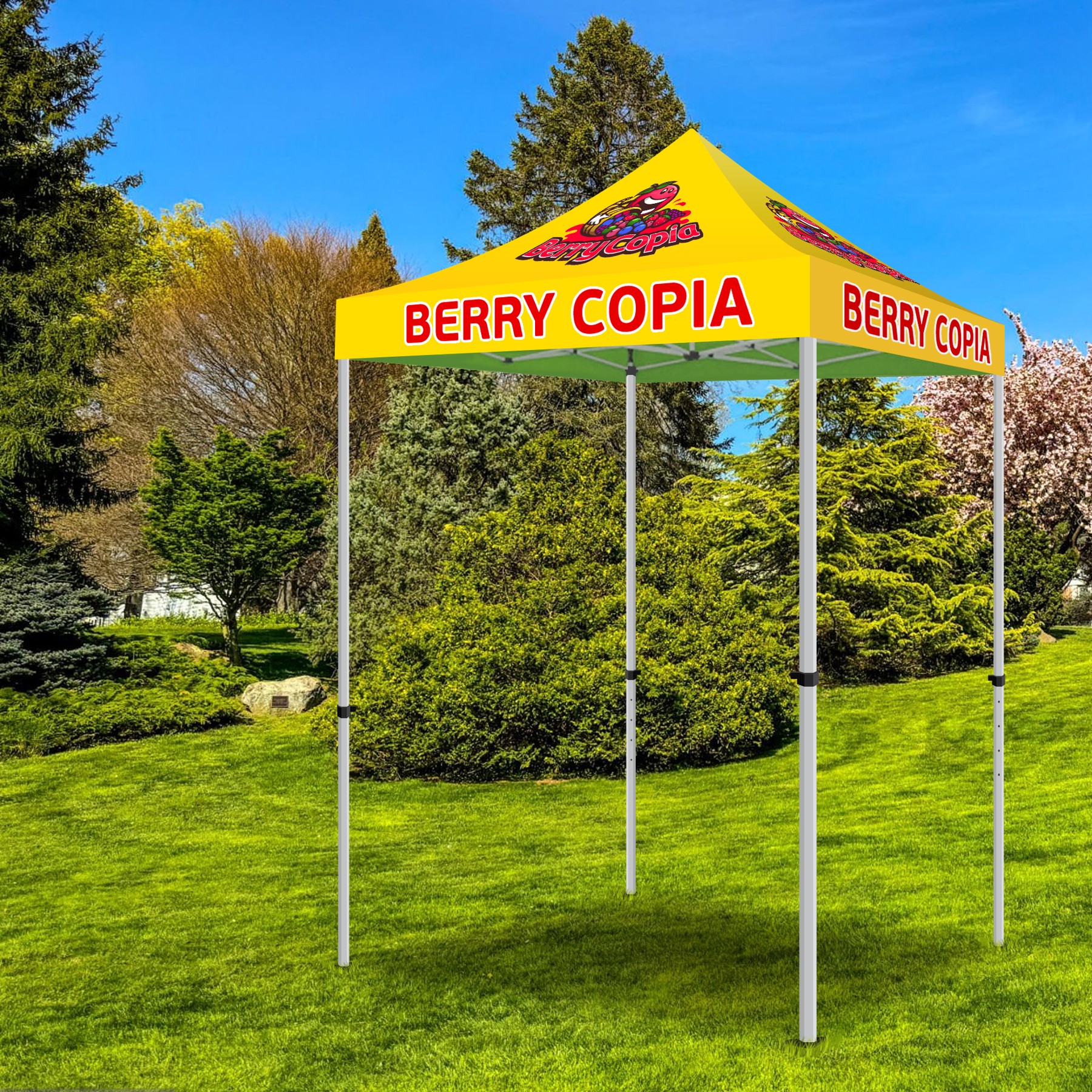 5' X 5' Pop Up Tent With Sublimated Canopy 2