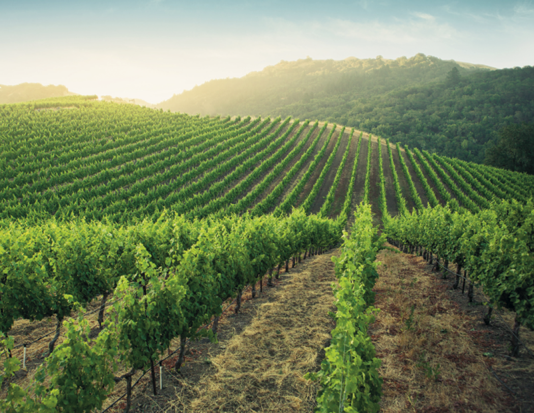 HotLine® Products California Appointment Calendar - Stapled 63