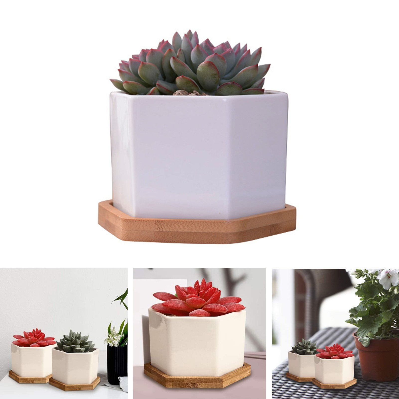 White Ceramic Succulent Cactus Plant Pots with Bamboo Tray 1