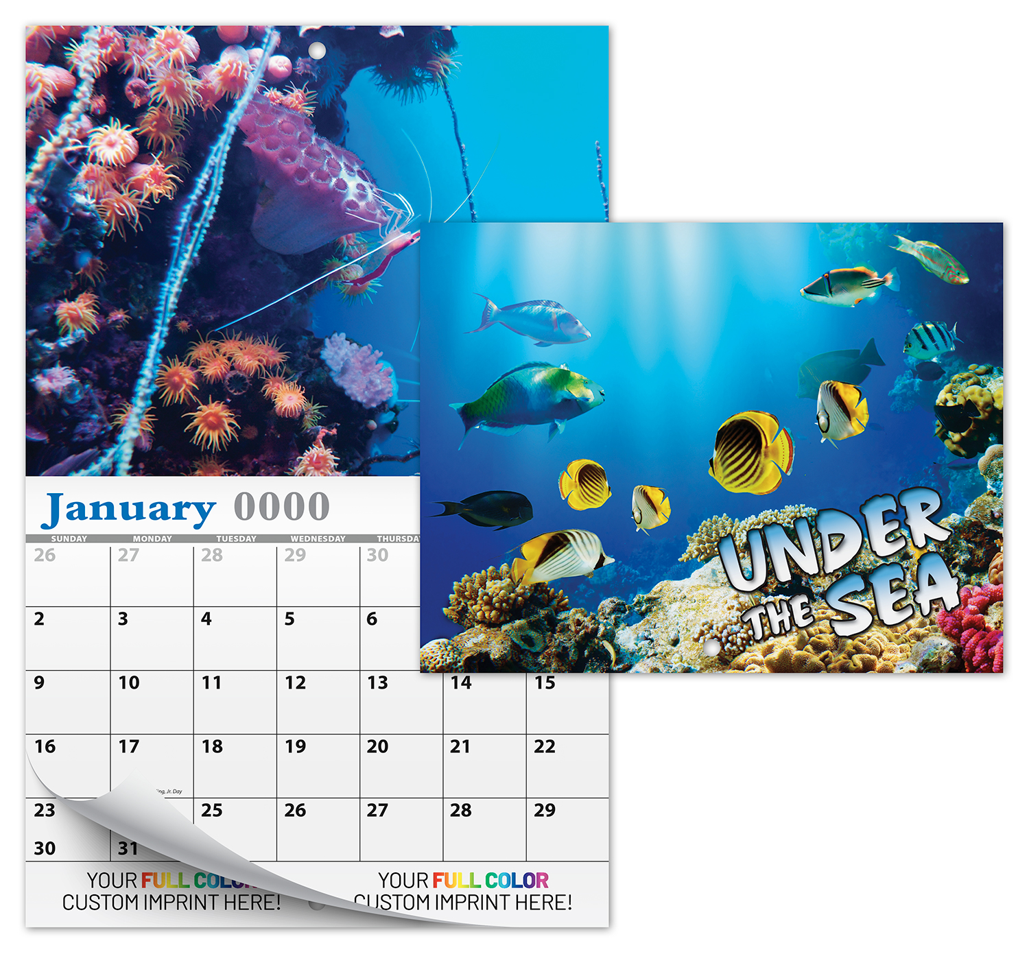 13 Month Custom Appointment Wall Calendar (High Gloss UV-Coated Cover)- UNDER THE SEA 1
