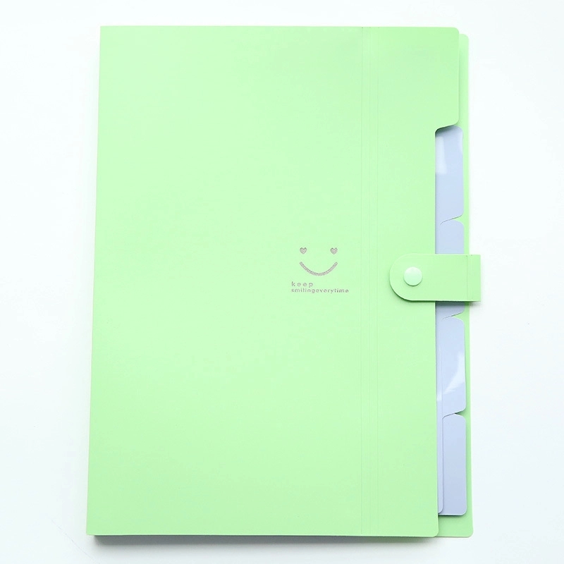 Expanding File Folder 5 Pockets 5