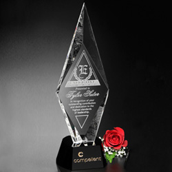 Chaska Award 3