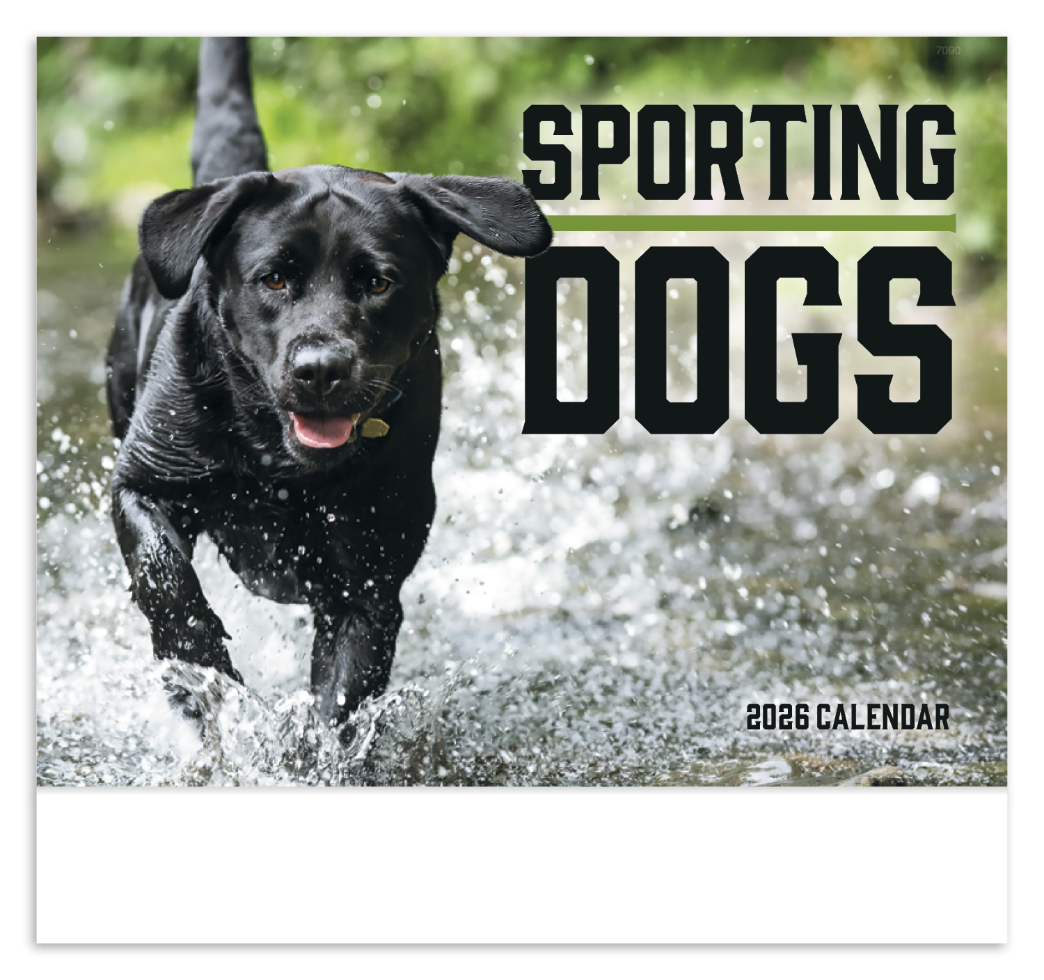 Good Value™ Sporting Dogs - Stapled Calendar 13