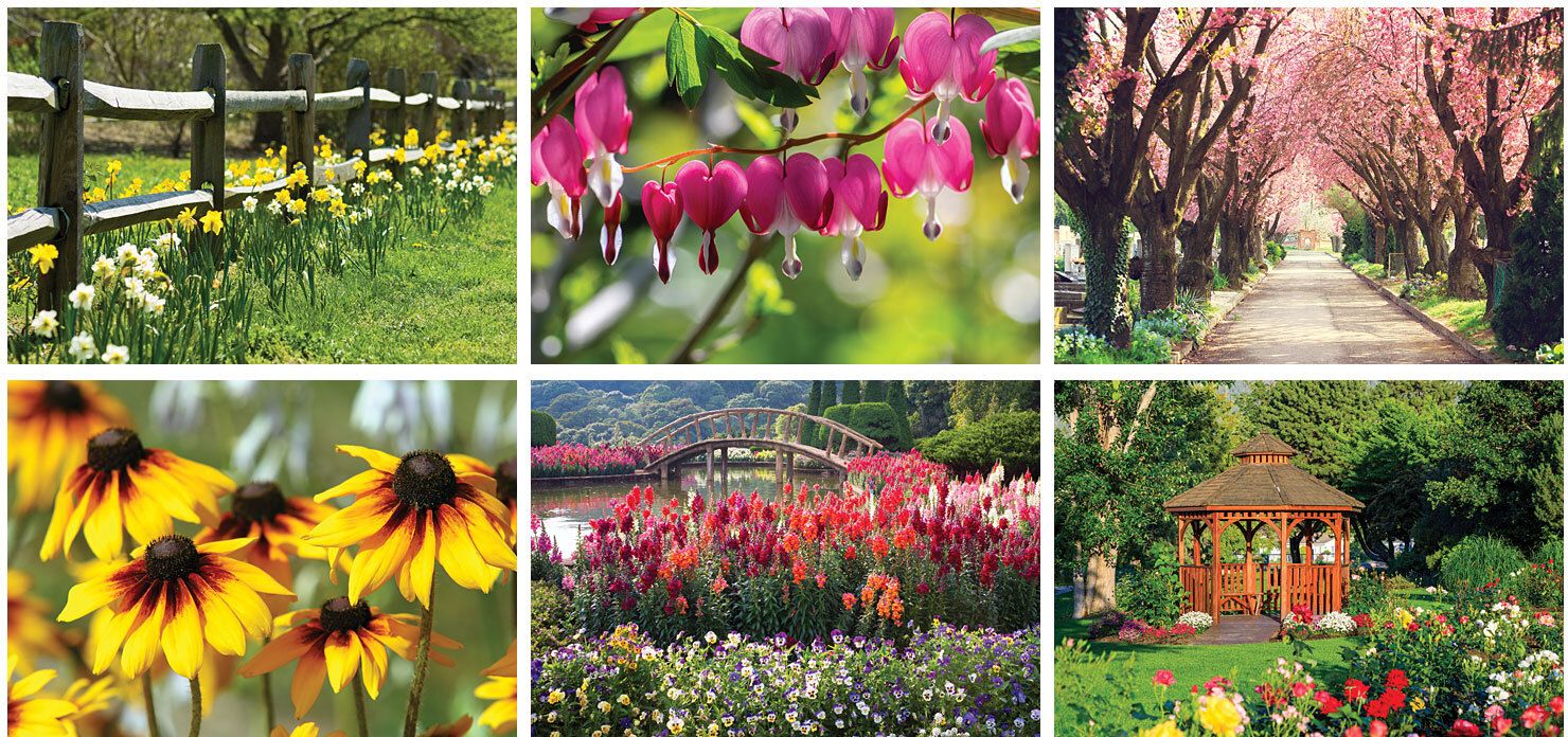GARDEN DESK CALENDAR 10