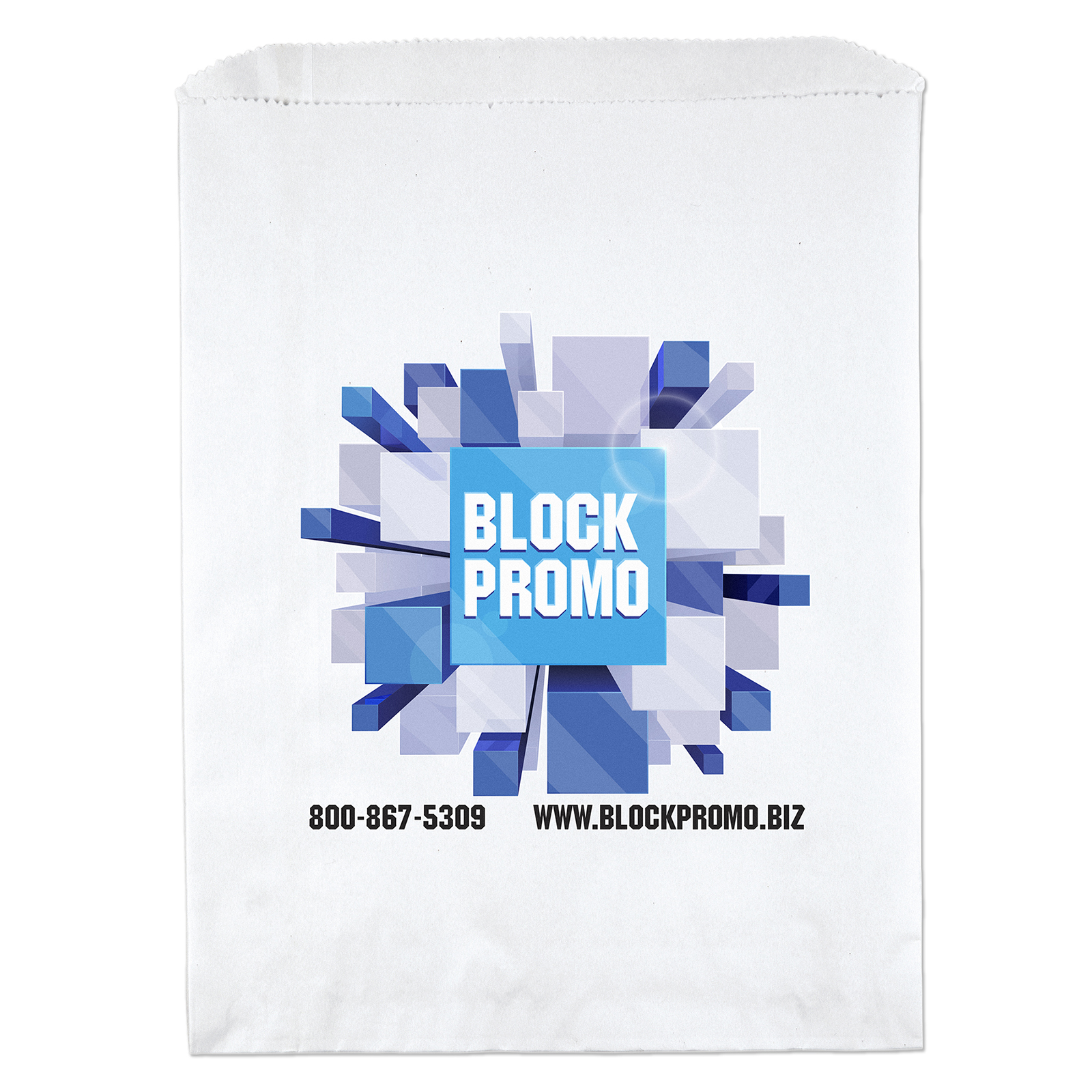 10W x 13H Merchandise Bag - ColorVista 2