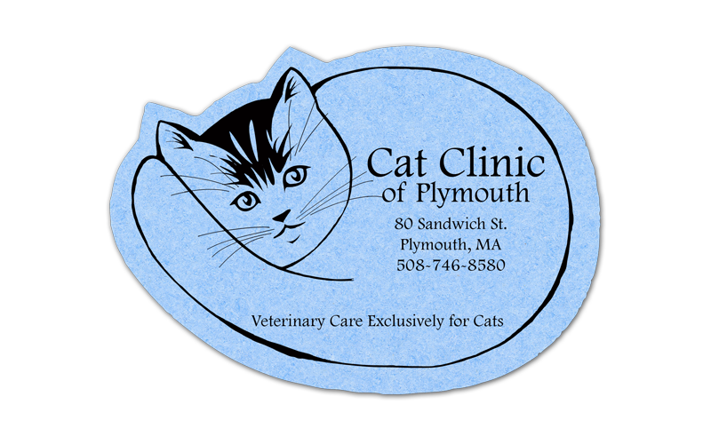 Cat Compressed Sponge