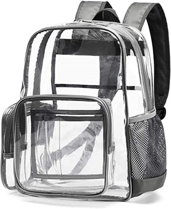 Transparent Backpack 4